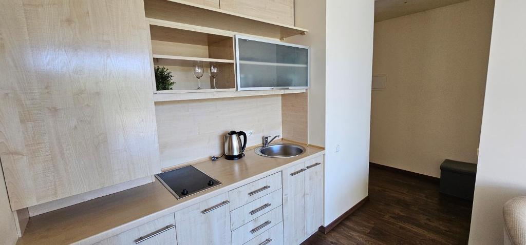 Voll ausgestattete Küche im Studio-Apartment Voll ausgestattete Küche im Studio-Apartment